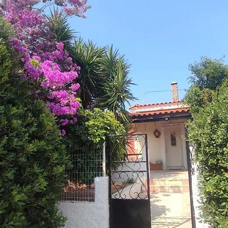 Olive Grove Cottage Skalani Knossós Eksteriør bilde