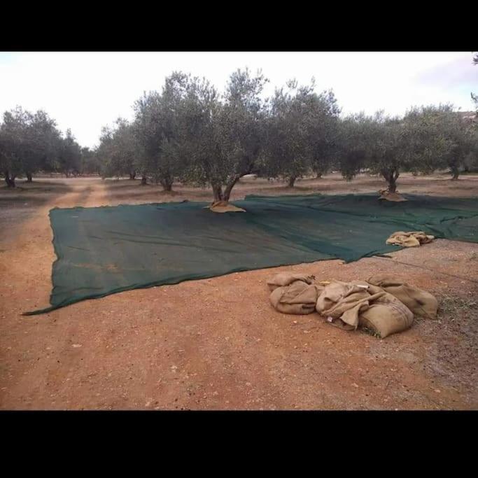 Olive Grove Cottage Skalani Knossós Eksteriør bilde