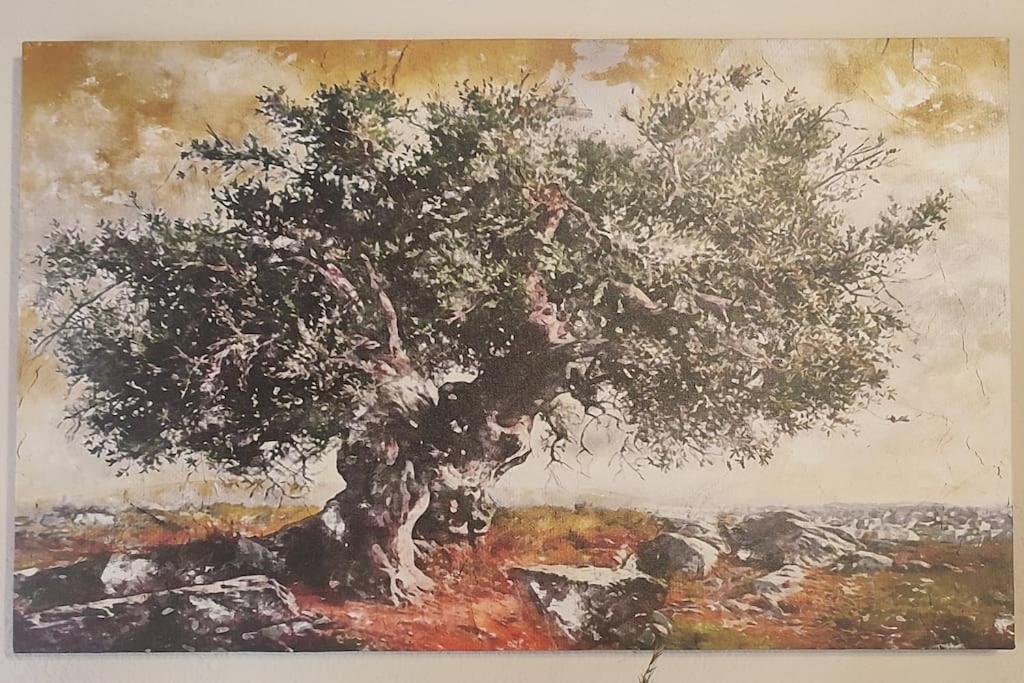 Olive Grove Cottage Skalani Knossós Eksteriør bilde
