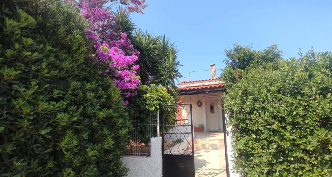 Olive Grove Cottage Skalani Knossós Eksteriør bilde